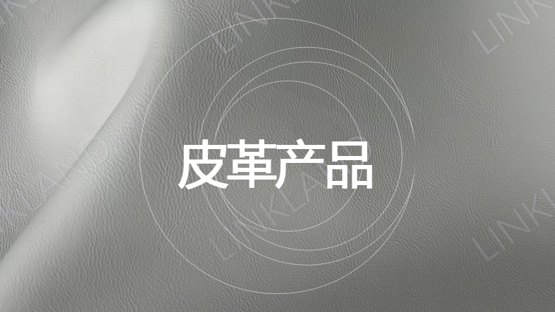 中文2